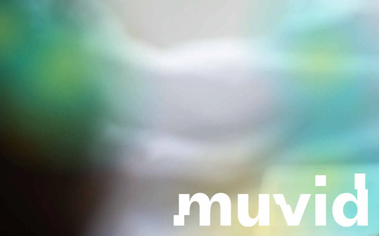 Become an influencer - Generate social media reach - Muvid